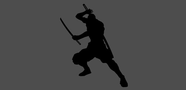 The ninja approach to startup succeess