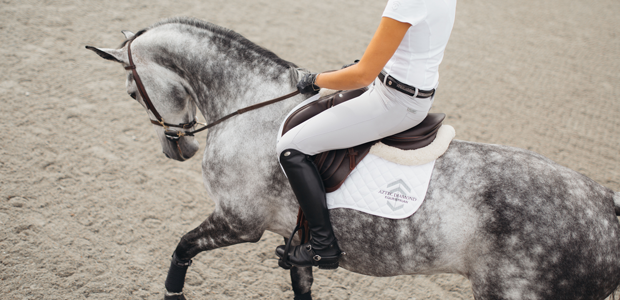 Unbridled success for equestrian-athleisure startup 
