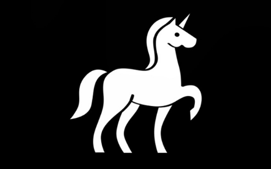 Future Unicorns: How To Build & Manage A Startup