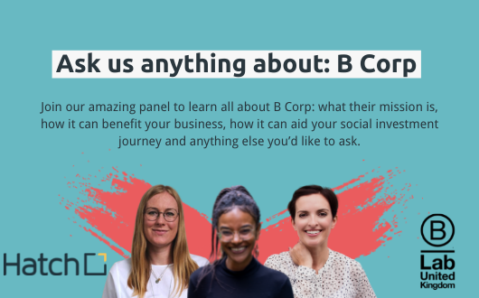 Ask us anything about: B Corps