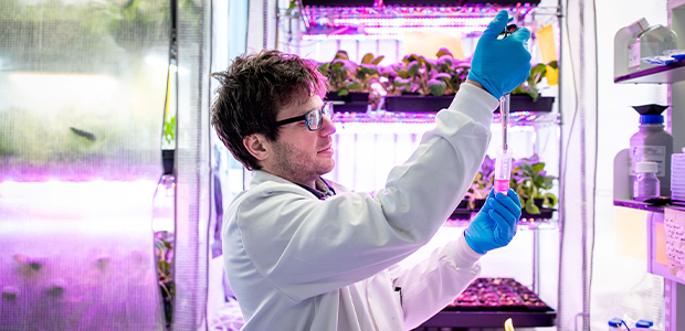 SOLASTA Bio secures $14M to accelerate nature-inspired crop protection