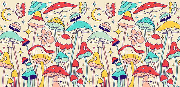 From burnout to bliss: the Pure Joy Mushrooms Story