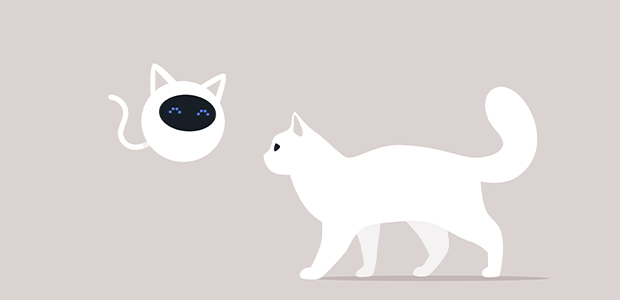 Sylvester.ai: using AI to communicate with your cat