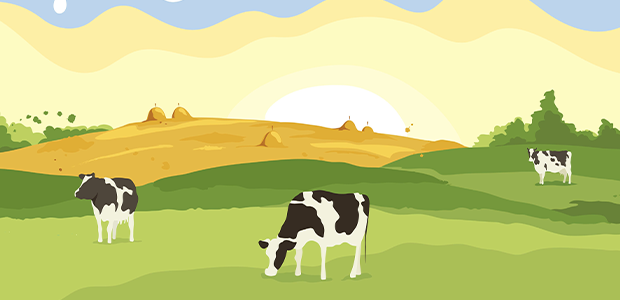 €700K secured for methane-reducing technologies on dairy farms