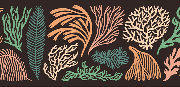 Uluu raises £7M to scale seaweed plastic alternative