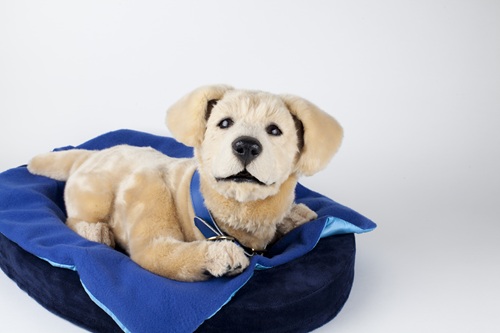 tombot puppy on a bed