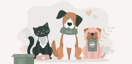 House My Pet embraces new era as a non-profit organisation to champion animal welfare House My Pet embraces new era as a non-profit organisation to champion animal welfare