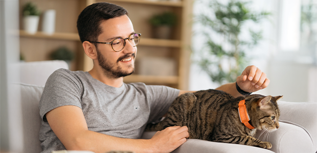 Maven Pet: pawsitively changing pet care fur-ever
