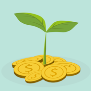 What is a Seed Fund?
