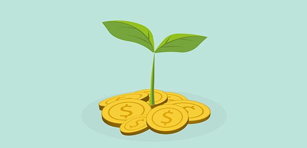 What is a Seed Fund?