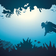 What scuba diving taught me about leading through chaos