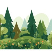Coaching in nature – the benefits to leaders