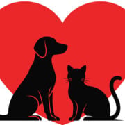 AI breakthrough turns smartphones into lifesavers for pets