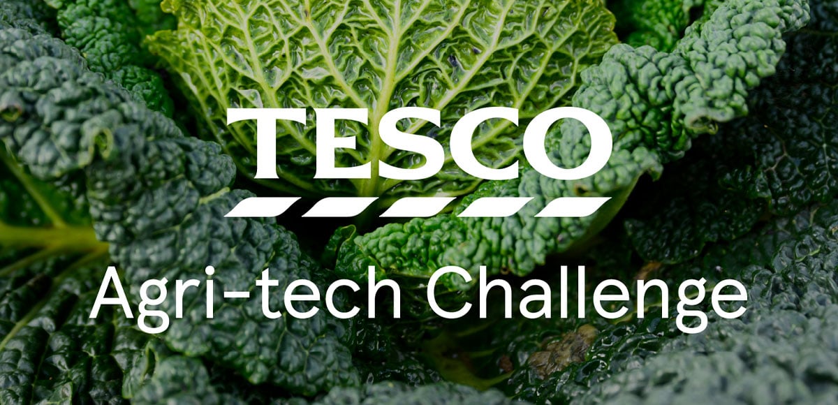 Tesco launches 2026 Agri-tech Challenge to help future-proof British farming