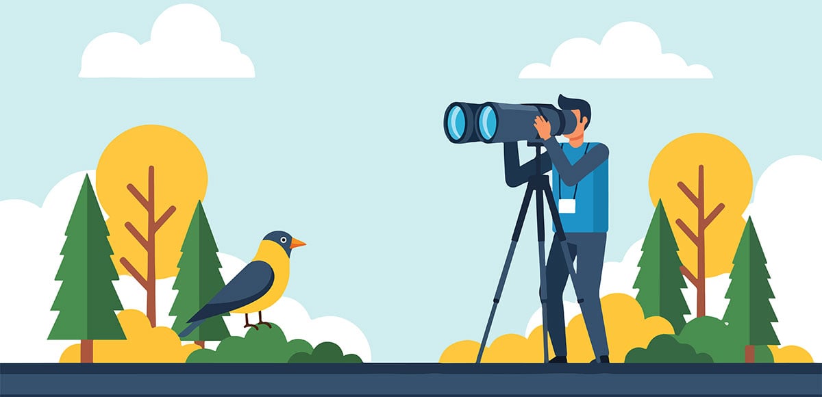 Turning niche content into a scalable business