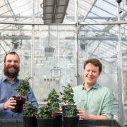 Phytoform: sowing the seeds of smarter agriculture