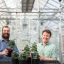 Phytoform: sowing the seeds of smarter agriculture
