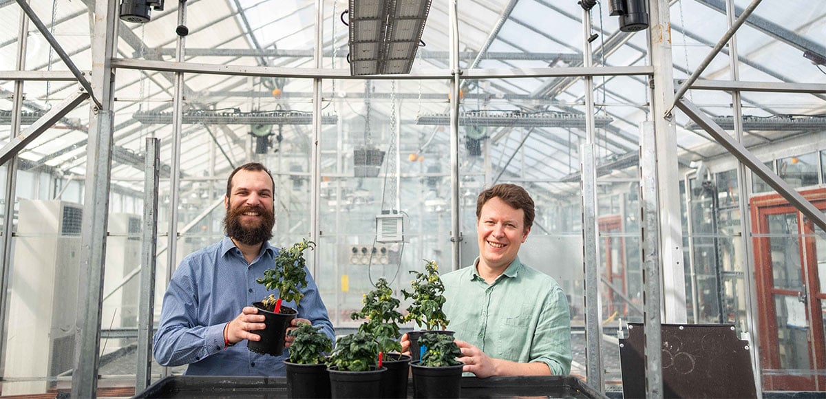 Phytoform: sowing the seeds of smarter agriculture