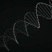 Three biggest barriers facing synbio scaleups today