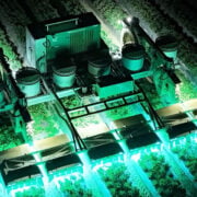 TRIC Robotics: lights the way for chemical-free farms